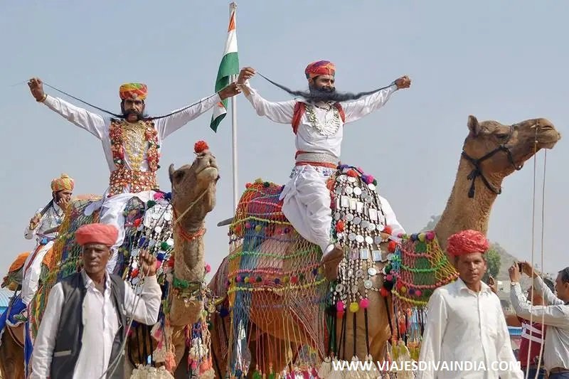 Pushkar Fair  30 oct-05 NOV 2025, From USD 1100